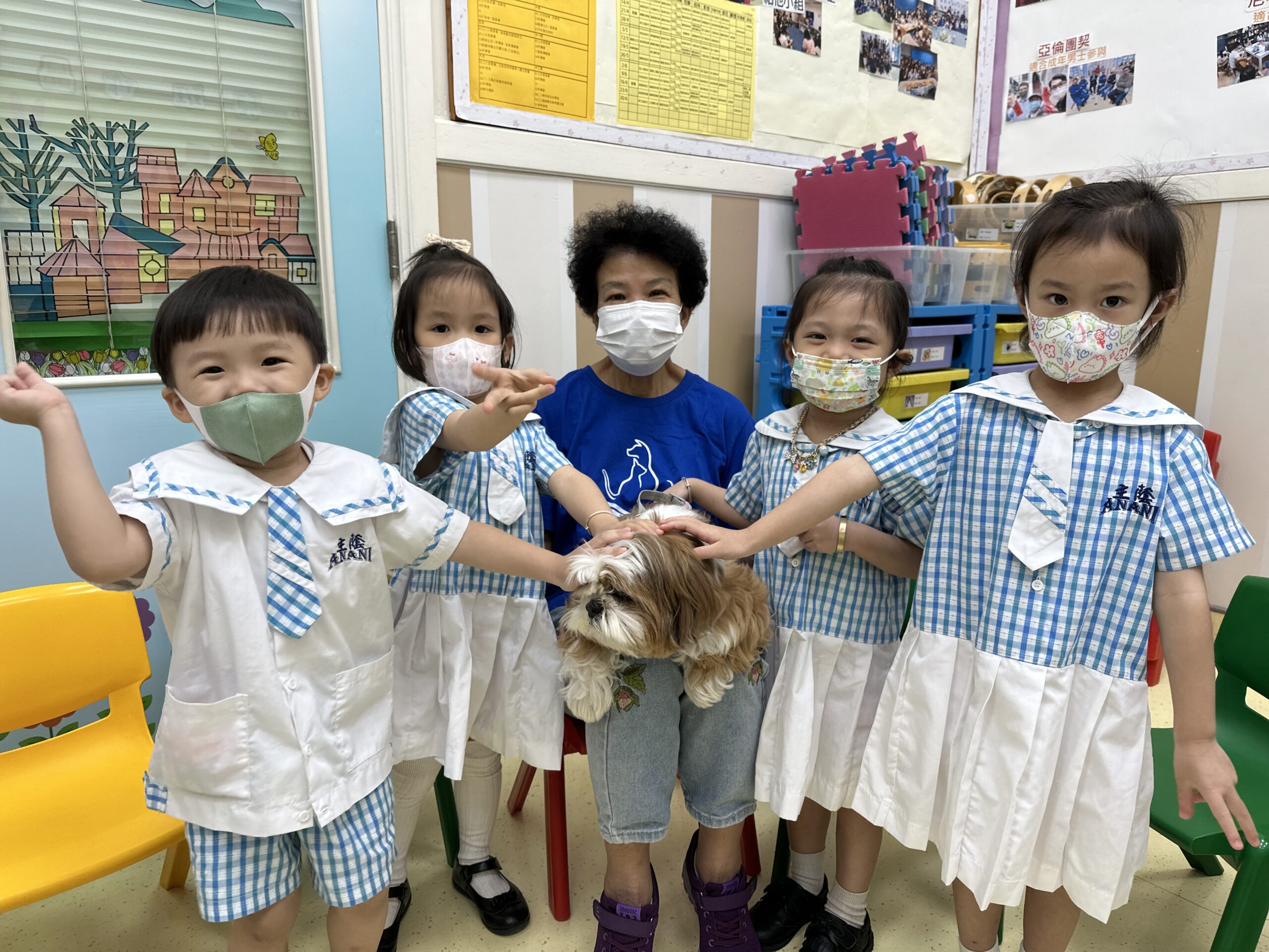 幼兒班主題活動-小動物的祕密